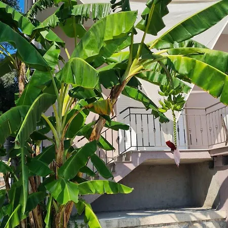 Gerys House * ניקיאנה